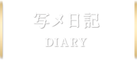 写メ日記