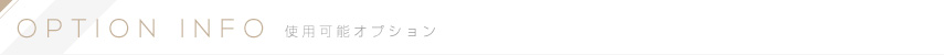 OPTION INFO 使用可能オプション