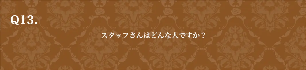 質問13　PCバージョン