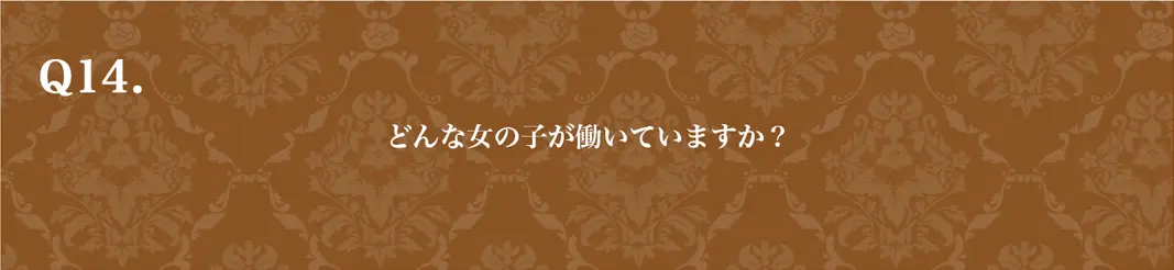 質問14　PCバージョン