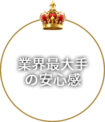 業界最大手の安心感