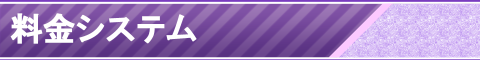 料金システム