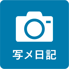 メニュー