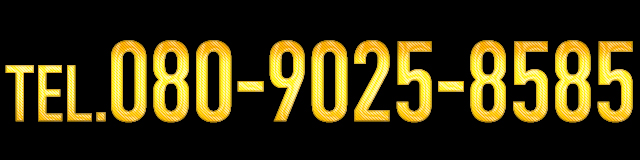 電話番号080-9025-8585